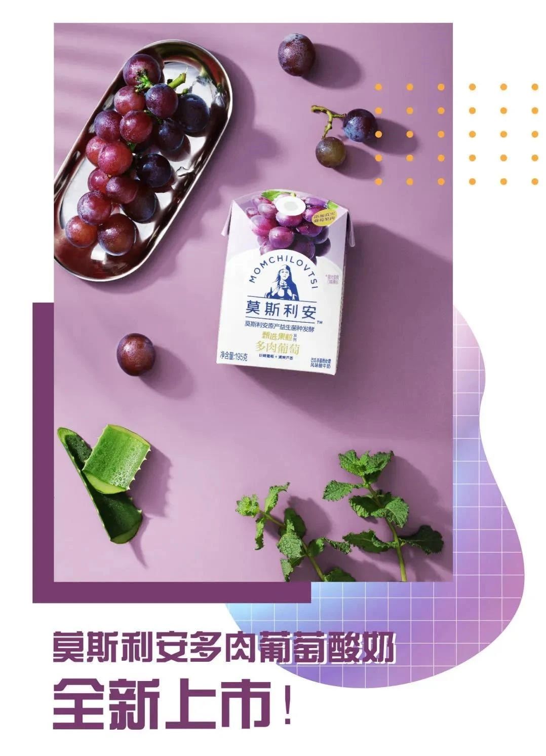 逐梦星辰大海，，，，展望灼烁未来_九洲国际