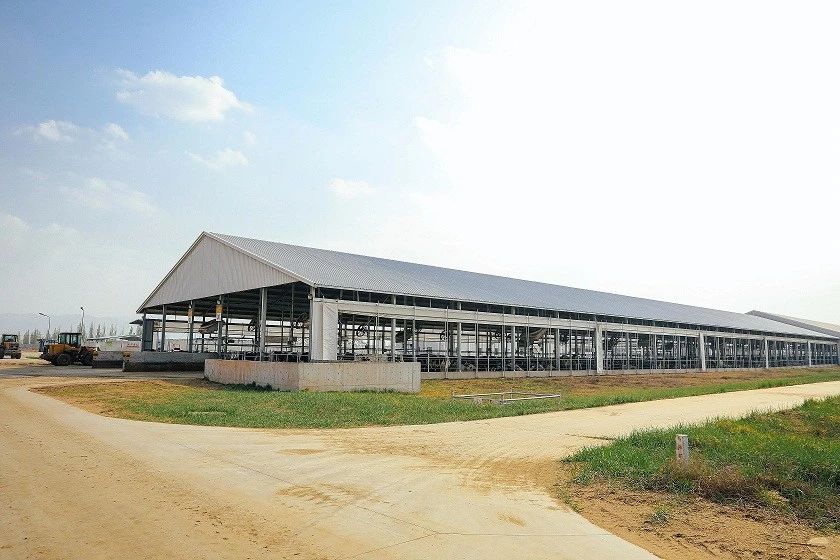 刚刚，，，恒自然逾25亿完售中国全资牧。。。。。EO称仍坚定看幸亏华远景_九洲国际