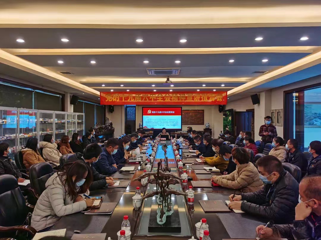 杭州市科技局周扬书记赴九洲国际股份调研并宣讲党的十九届六中全会精神_九洲国际