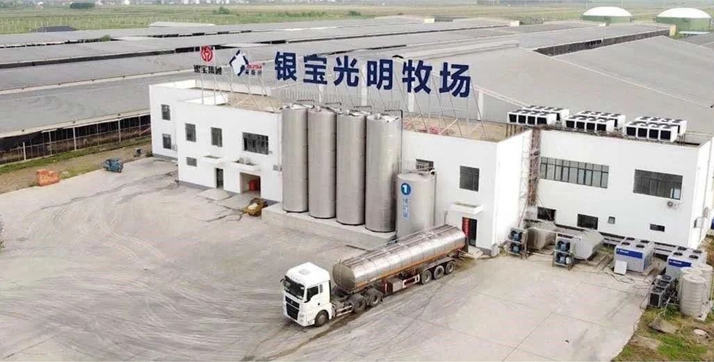 逐梦星辰大海，，，，展望灼烁未来_九洲国际