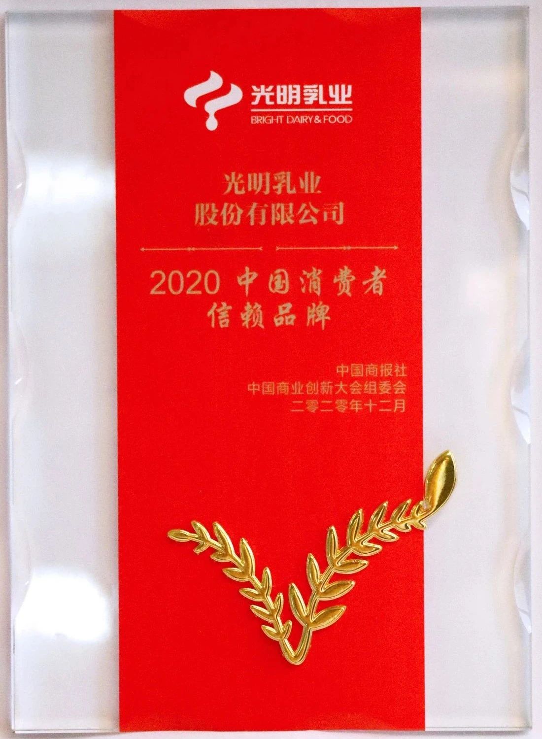 逐梦星辰大海，，，，展望灼烁未来_九洲国际